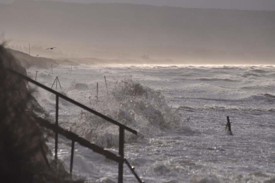 1 PM 3 - Sanddynskusten i Laholmbukten efter stormen Sven 5:e och 6:e december 2013 Lör den 7/12 besöktes stranden-strandhedarna i Skummeslöv och Mellbystrand för att studera erosionen efter stormen