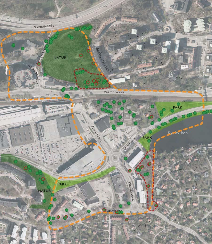 254 PLANERINGSFÖRUTSÄTTNINGAR PROGRAM FÖR PLANIAOMRÅDET VÄSTRA SICKLAÖN, NACKA KOMMUN Naturvärden En inventering av naturvärdesträd i programområdet har gjorts (Naturvärdesträd Kyrkviken