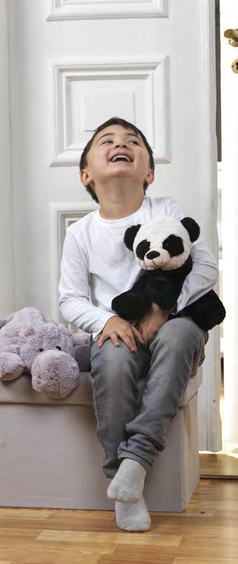 Dr eamies 2586 Dreamies, Panda,