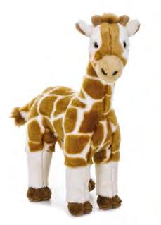 Wild 2761 Jungle Kidz, Lejon
