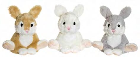 20cm, 2459 Teddy