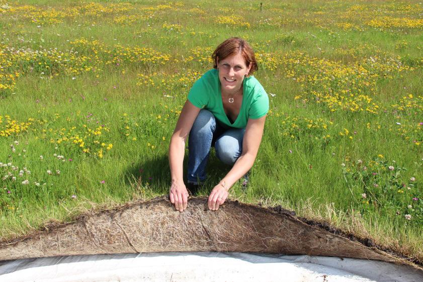 Projektet Towards sustainable lawns bedrivs med medel från SLU Klimatfond ängsmatta med picnic-bänk För närvarande utgör konventionalla gräsmattor en dominerande del av utomhusmiljön på campus Ultuna.