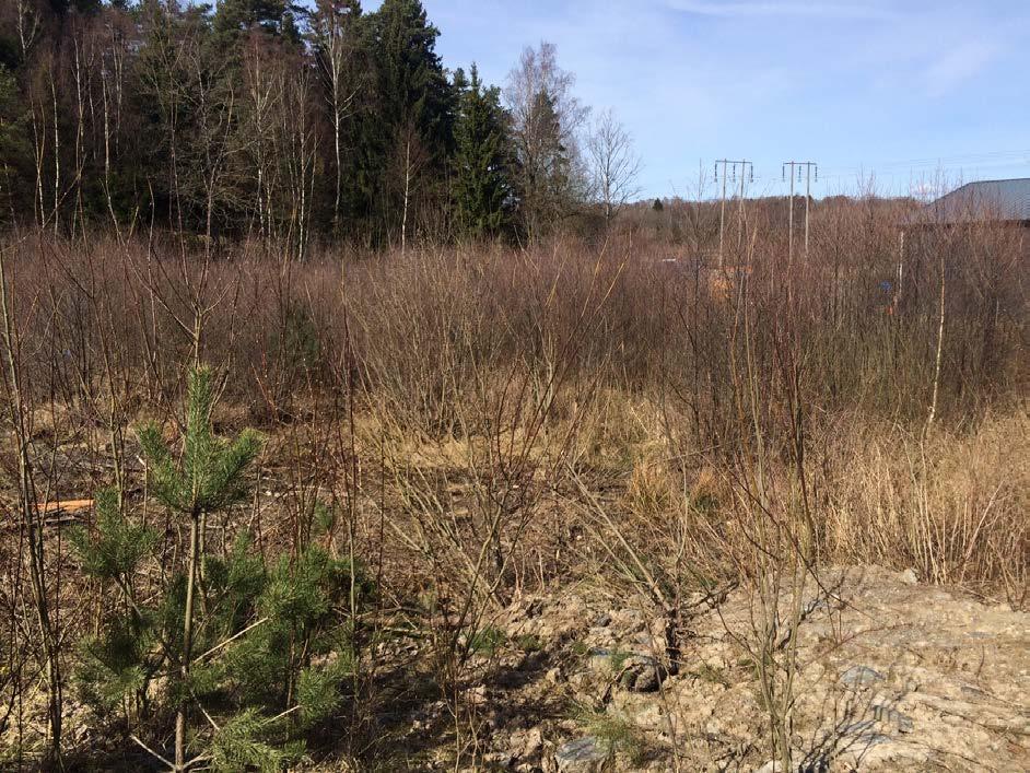 UTLÅTANDE OM FÖRSLAG TILL PLATSER FÖR UTFYLLNAD MED MJUKA MASSOR,