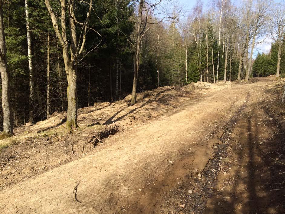 M5. Skogsmark med väg och bäck Beskrivning: Liten dalgång i sluttning mellan två höjdområden i planområdets västra del.