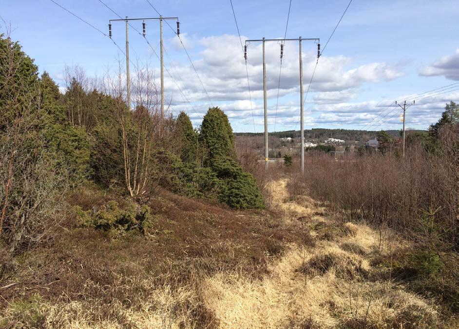 M3. Kraftledningsgata Beskrivning: Kuperad kraftledningsgata som huvudsakligen domineras av tätt med lövsly. På vissa höjder finns ljung och enbuskar i anslutning till hällmarker.