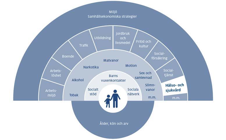 22(48) Figur 3 - Hälsans bestämningsfaktorer Källa: Dahlgren, G, Whitehead, M. Policies and strategies to promote social equity in health: Background document to WHO Strategy paper for Europe.