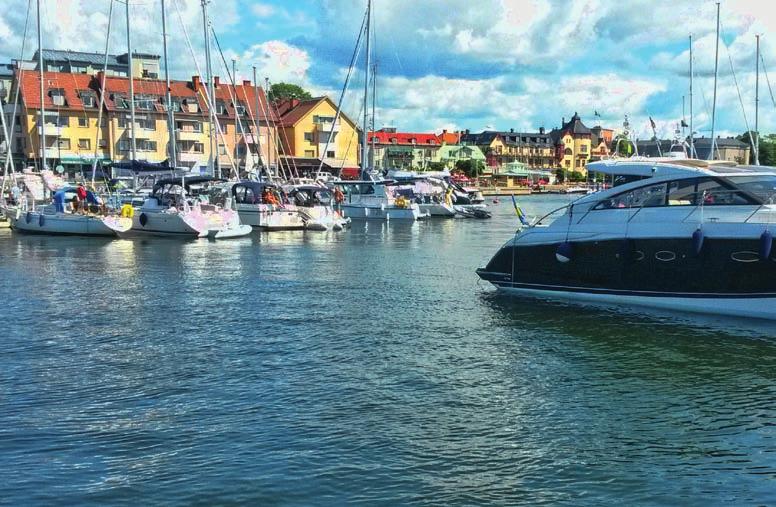 Områden med lokalt intresse Dessa områden är en mycket vanlig livsmiljö, som saknar naturliga förutsättningar för viktiga ekologiska funktioner, stort artantal samt rödlistade arter samtidigt som de