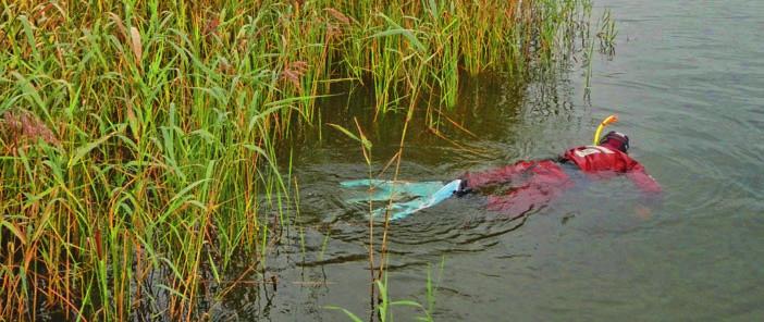 Vaxholms stad är en skärgårdskommun med 70 öar och kustvatten som täcker hälften av kommunens yta. Havs- och vattenmyndigheten har gjort en övergripande bedömning av alla vattenförekomster i Sverige.