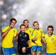 Dessa problem resulterade i ett fall genom seriesystemet vilket gjorde att laget startade förra säsongen i division 7.