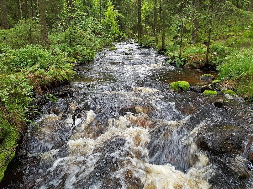 Elfiskeundersökningar i Issjöbäcken och