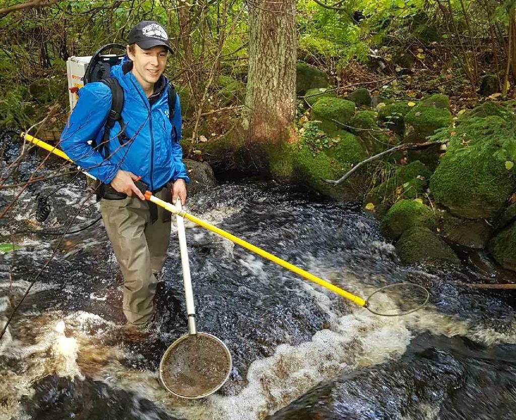 Elfiskeundersökningar i Issjöbäcken och Lindomeån 7 Figur. Elfiske på lokal "Sågen" i Issjöbäcken. Foto: Gillis Larsson Från datavärden (SLU) erhålls Vattendragsindex (VI) för varje lokal.