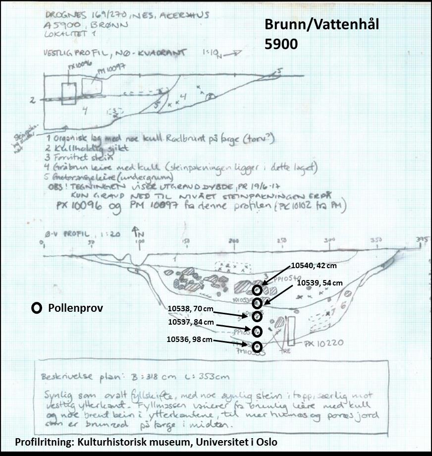 Profilritning 1: Brunn/vattenhål 5900 Lag 1: Øvre, sentrale deler av strukturen, størst tykkelse 20 cm. Lag 2: Tynt kullag som avgrenset deler av lag 1, størst tykkelse 5 cm.