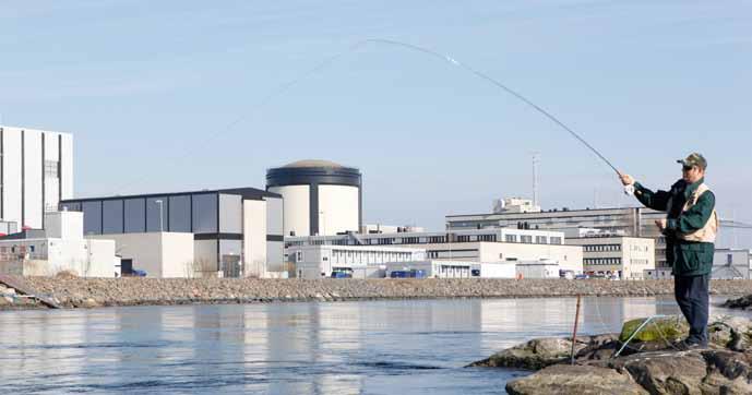 Konventionellt avfall En stor del av Ringhals konventionella avfall består av rensmassor som uppkommer vid de årliga rensningarna av kylvattenkanalerna.