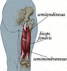 Hamstring skador kan vara av olika typ I.