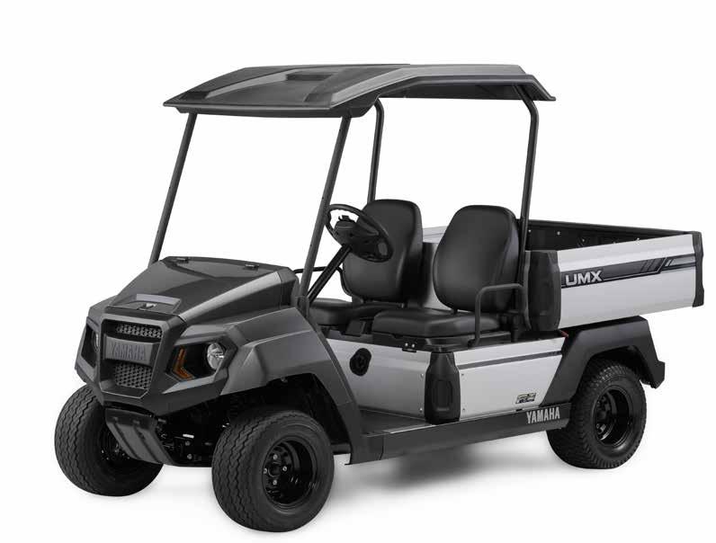 The brand new UMX EFI / AC Nya UMX:
