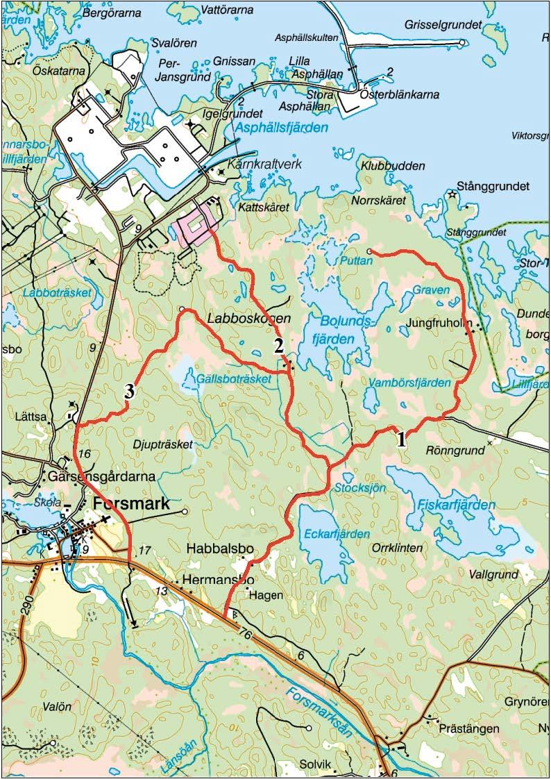 2.3 Linjetaxering Linjetaxeringen genomfördes under perioden 13 16 juli 2016. Syftet var att bedöma tätheten av fladdermöss, i första hand tätheten av nordfladdermus.