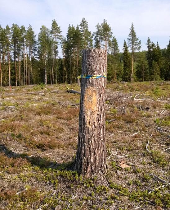 Rapport 5 2016 Hänsynen till forn- och kulturlämningar Resultat från