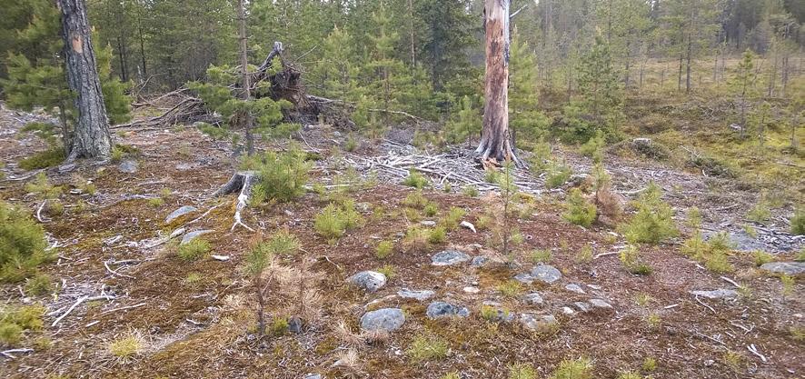 När det gäller påverkan, det vill säga den lägre graden av skada, utgör lägenhetsbebyggelse, tjärdalar, färdvägar och fossil åker den största andelen.