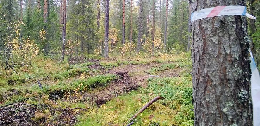 Typ av påverkan Ofta förekommer flera skadeorsaker på en och samma lämning. I det tidigare redovisade sammanlagda resultatet räknas enbart den allvarligaste skadan.
