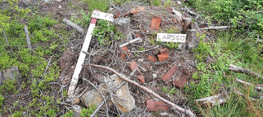 De vanligaste skadorna uppstår vid de många körningar som sker i samband med avverkning och föryngringsarbete.