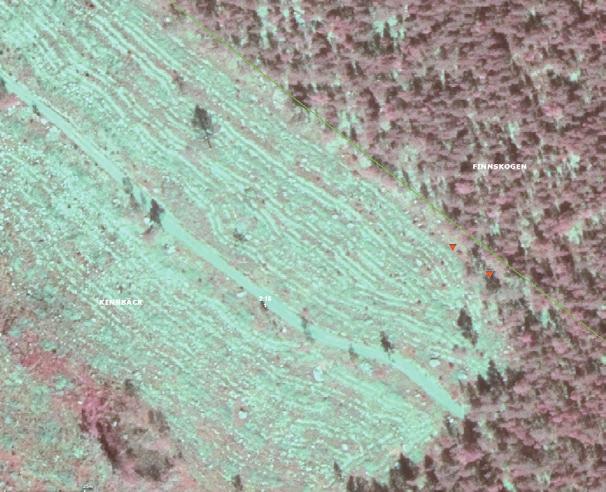 Villkorsområde fornlämning 25 m villkorsområde Figur 20. I ortofotot syns tydligt markberedningsspåren inom villkorsområdet. HK-inventeringen har även inventerat det så kallade villkorsområdet.
