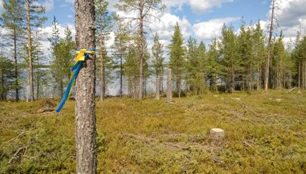 Kulturlämningen har annan tydlig utmärkning. Förekommer vid 3 procent av lämningarna i riket.