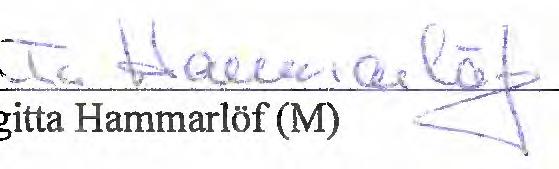 'Kae Öhom (M) Morgan Lijebrand (FP) IChristina Fritshammar (C) vme Mikkoa (S) unda Wang (MP)!Lennart Rendik (V)!Marianne Hessebrandt (M) ~~=~~:,::~D) ~:~~:::~:~~~-~~:~~---~:]?~~ga~~~~~d~!
