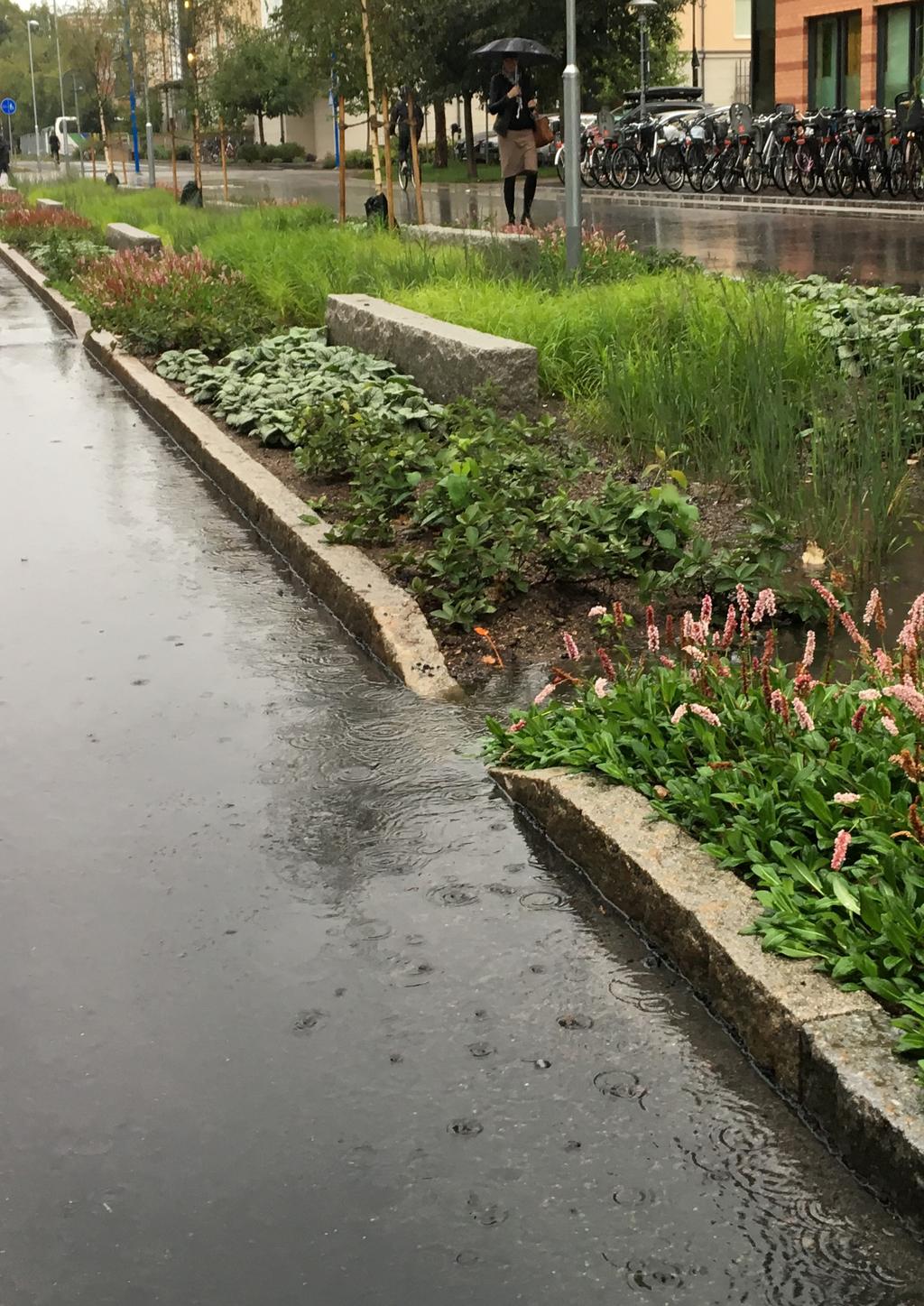 GRÖNA FAKTA FOTO: RASMUS ELLEBY Grönblå infrastruktur hållbar dagvattenhantering i gaturum Flera faktorer har lett fram till att vi behöver en mer hållbar hantering av dagvattnet i våra städer.