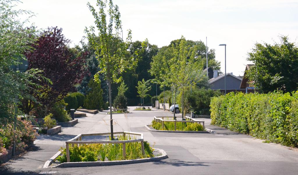 III är viktiga för vattenrening eftersom de bryter ner föroreningar. Detta är ett naturligt sätt att behandla vatten, med en process som efterliknar reningen i mark och vattendrag.