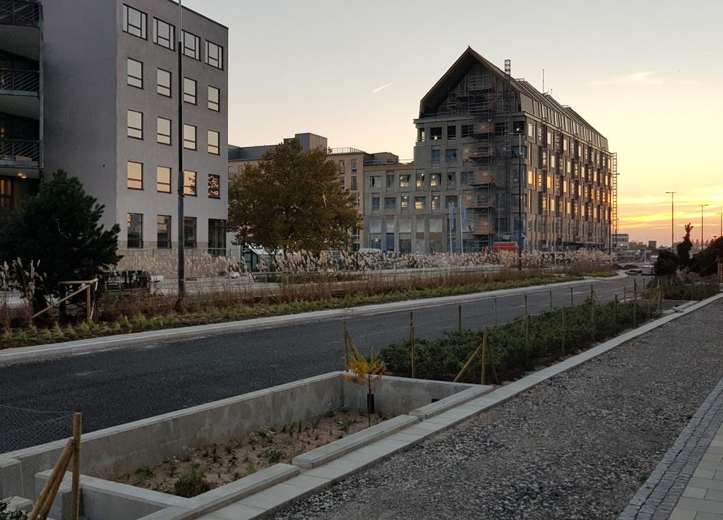 IV Regnbädd som filtrerar och fördröjer dagvattnet på Strandbogatan i Uppsala.