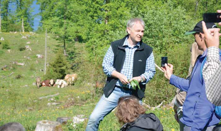 Olof Johansson, miljöchef på Sveaskog, under guidning i Ekopark Omberg, Som en del av Sveaskogs arbete med att bevara och utveckla naturvärden finns idag 36 ekoparker, som omfattar cirka 175 000