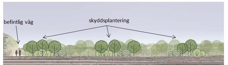 Samrådsredogörelse Dnr:152/2015 Bilden visar en genomskärning av skyddsvegetationen i den norra delen av planområdet. Fruktodlingen och vattentornet ligger utanför bild, till vänster respektive höger.