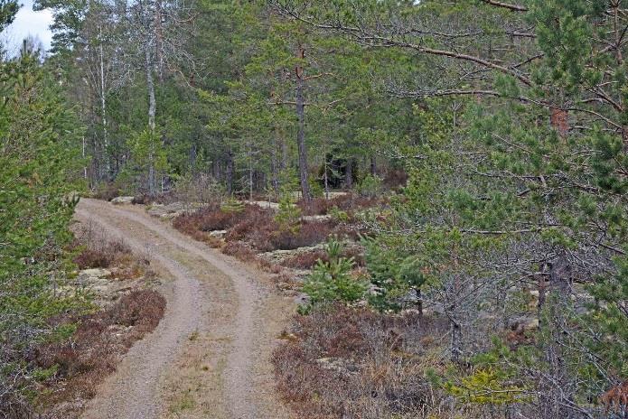 Hultsfred Östra Årena 1:10 Skog På fastigheten Hultsfred Östra Årena 1:10 finns en skogsbruksplan upprättad i maj 2013 av Södra. Planen är reviderad av Skog och Lantbruk våren 2017.