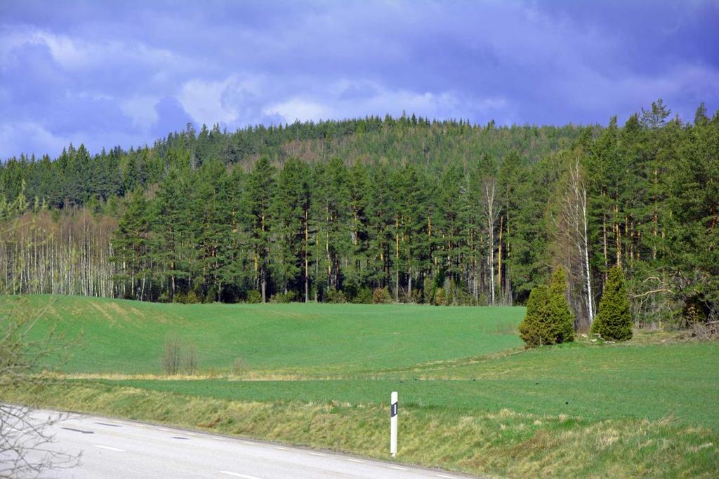 Hultsfred Östra Årena 1:10 Om Skog & Lantbruk Skog & Lantbruk är ett rådgivningsföretag som arbetar med följande tjänster inom jord och skog: - Fastighetsförmedling - Generationsskifte -