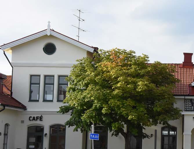 2 Växtkraft 10
