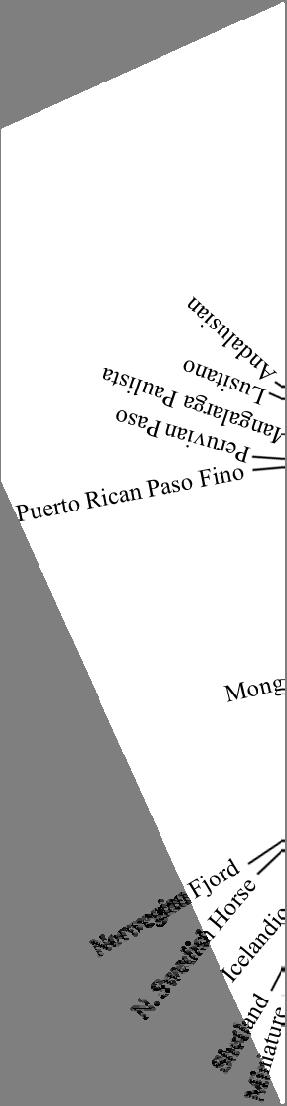 Breed phylogeny