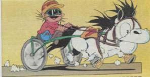 A breeding stallion Successful at the trotting races but not as good as breeding stallion