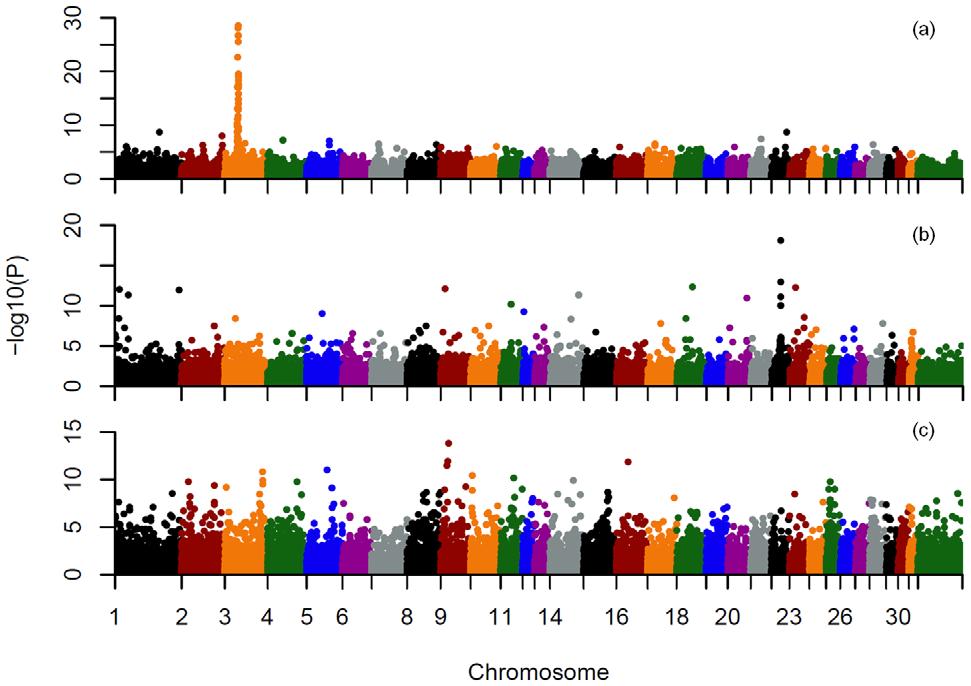 Association study (GWAS) Chestnut (ECA3) Black