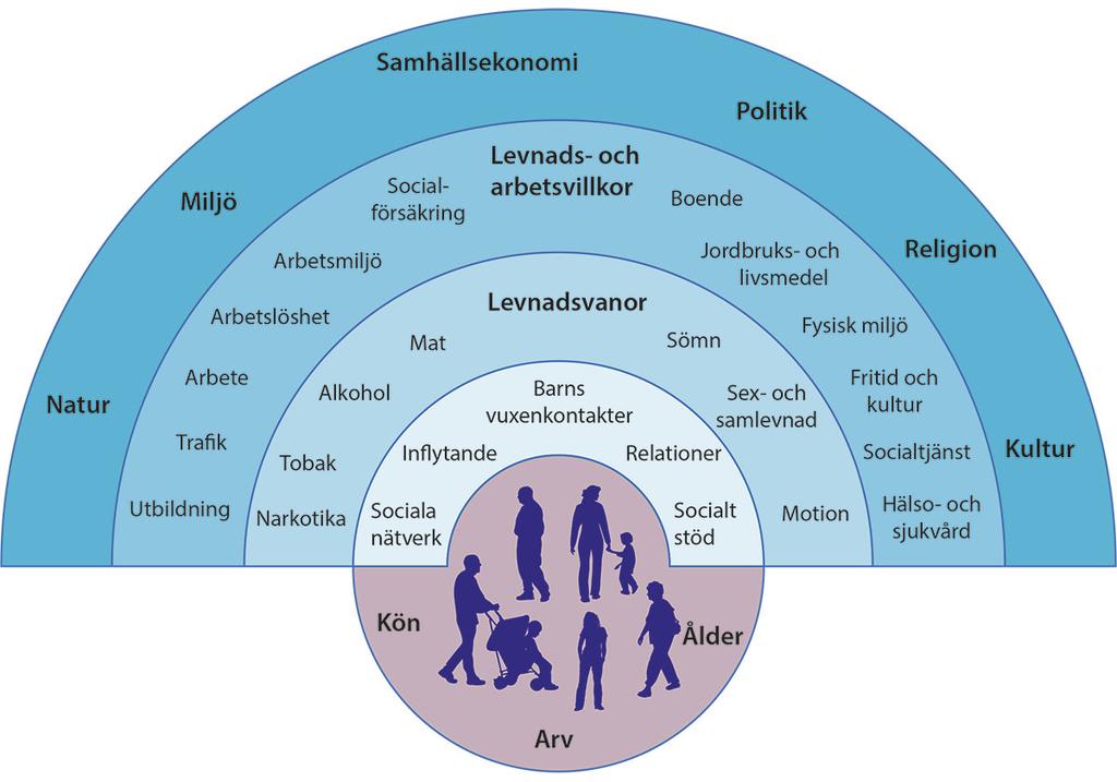 Bestämningsfaktorer för hälsa