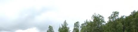 4(7) 3.2 Topografi Området är relativt plant.