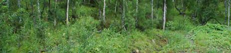 Ovanförliggande slänt Bild 3.9. Utströmmande grundvatten 4 Riskbedömningar 4.1 