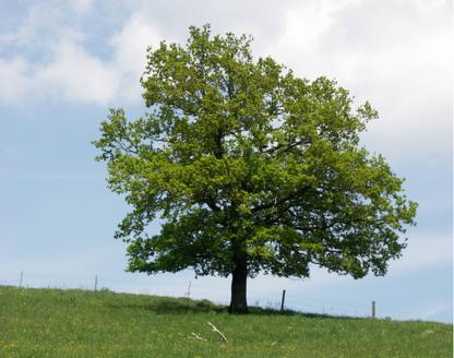Ursprung (FR,