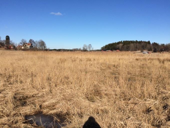 3. Förutsättningar 3.1 Nuvarande markanvändning Övergripande del av marken inom planområdet är idag outnyttjad.