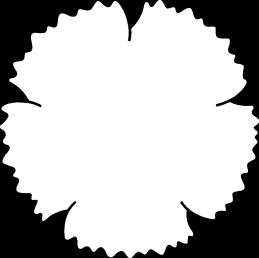 Vänsterpartiet Söderhamn