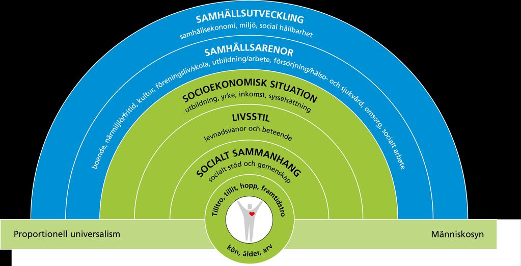 Hälsans bestämningsfaktorer Hälsans