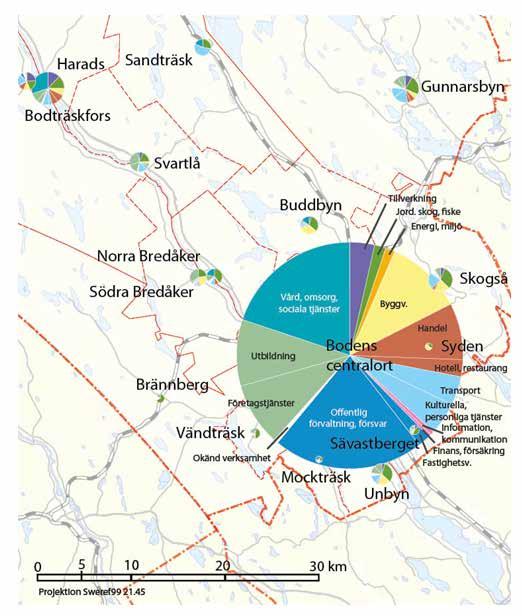 Figur 4 visar fördelningen på näringsgrenar. Andelen tillverkningsindustri är mycket låg i Boden. Centralorten har i övrigt relativt stor spridning på näringsgrenar.
