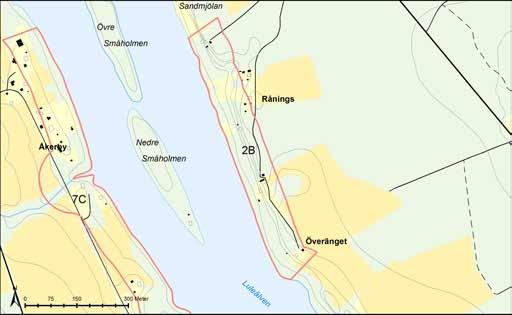 Område 2B Svartlå A Växt- och djurliv samt naturmiljö LIS-område 2B utgörs av ett brant sandområde längs med Luleälvens östra strand. Stranden sluttar kraftigt ned mot vattnet.