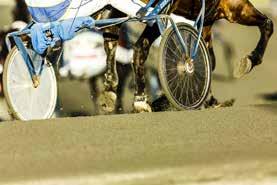 e Ken Warkentin - 8: -- 4,7a 000 7: 0 0-0-0 0 Tot: -- Aleva Käll e Supergill Pace J-C S 8/8-5 / 40 5 6,7 a x x 5 40 Uppf: Dahlqvist Bo, Tranås Norman P G G 6/9-5 / 40 8 7, ag x c 66 50 Äg: P&A