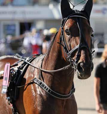 HÖGKLASSIGA FINALER MED PROPULSION SOM HÖJDPUNKT En mycket härlig lördag väntar - flera mycket intressanta V75-finaler kryddas med självaste Propulsion i Gulddivisionen. Varmt välkomna till Solvalla!