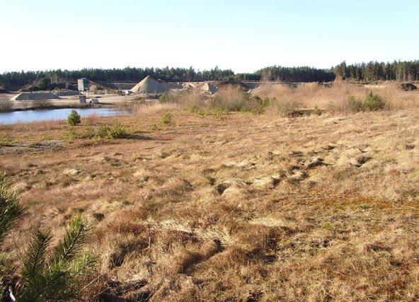 Ent. Tidskr. 129 (2008) Anmärkningsvärda fynd av småfjärilar i Sverige 2007 Figur 9. Grustaget vid Bäckaskogs station, östra delen.